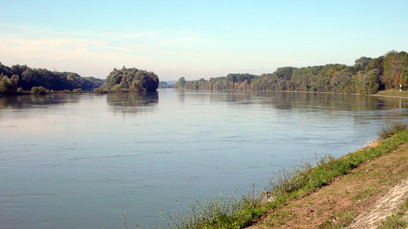 Die Donau bei Albing nahe der Ennsmündung